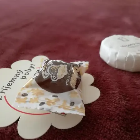 Dj-penzion Maison d'hôtes Vracov