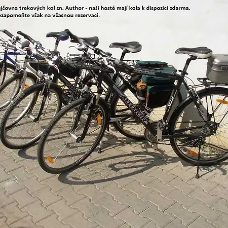 Dj-penzion Maison d'hôtes Vracov