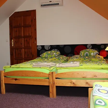 Dj-penzion Guest house 3*
