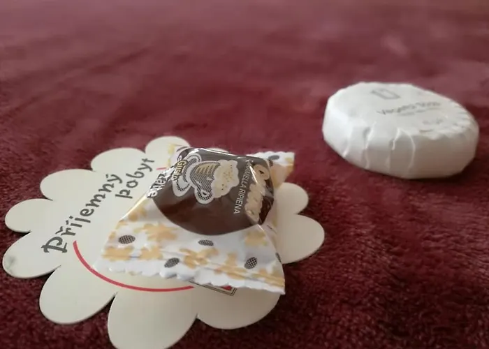 Dj-penzion Pensión Vracov