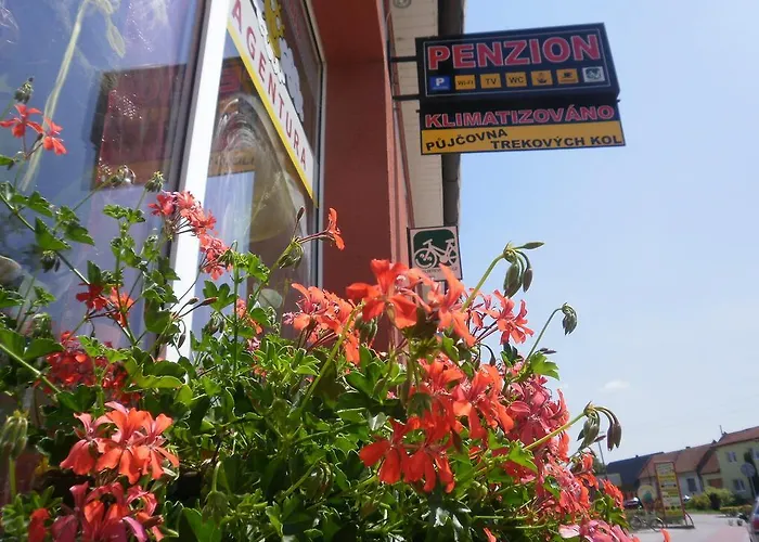 Dj-penzion