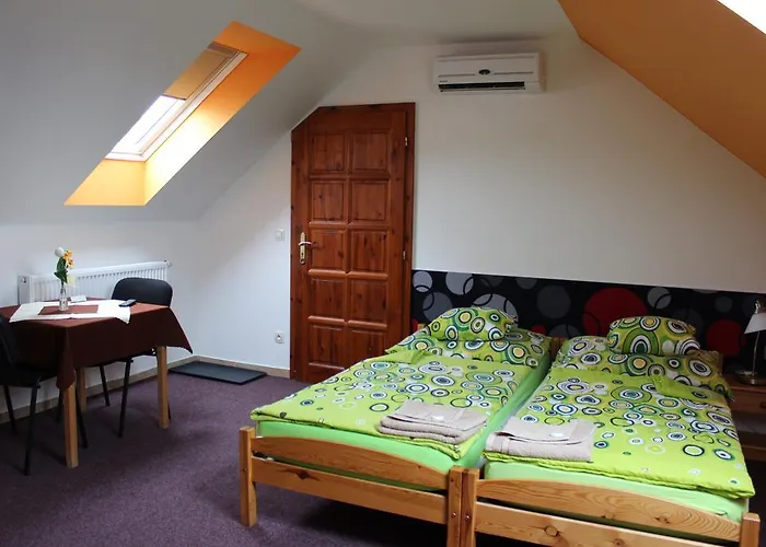 Dj-penzion 3* Vracov